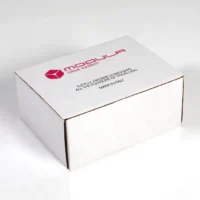 Modula Kit Fissaggio Simple TN per Citroen C4 Picasso 2 Serie 2013+