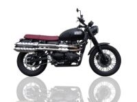 Scarico GPR compatibile con  Triumph Scrambler 900 2006-2014, Deeptone Inox, Coppia di terminali di scarico omologati, forniti con db killer removibili e raccordi specifici